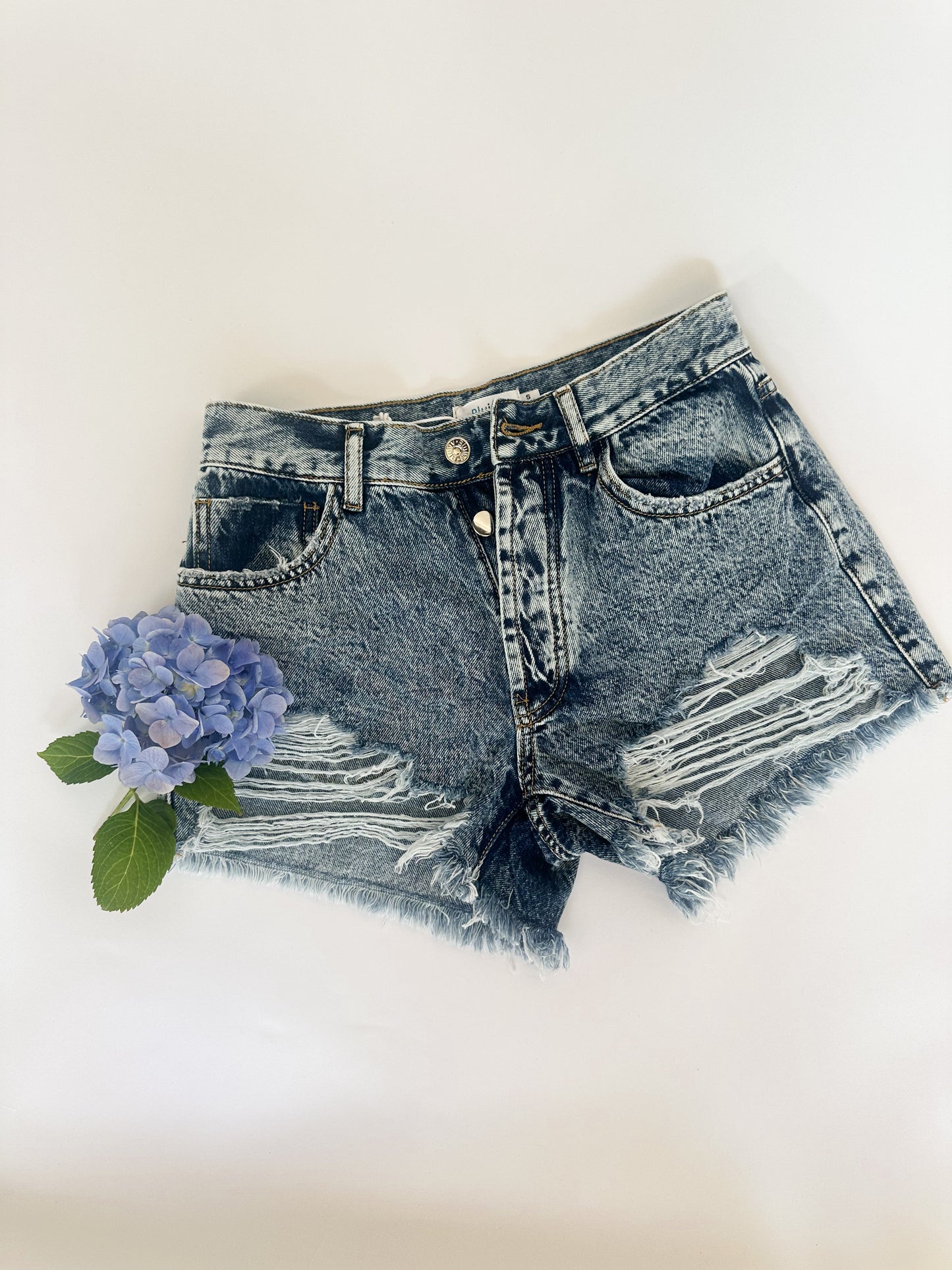 High Rise Frayed Denim Shorts